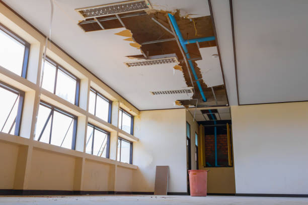 Best Mold removal after water damage  in North Eastham, MA