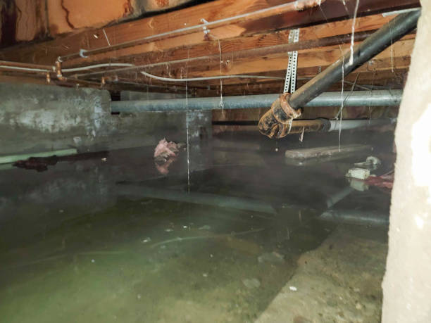 Professional Water damage restoration in North Eastham, MA