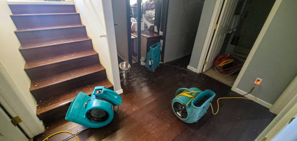 Best Mold removal after water damage  in North Eastham, MA