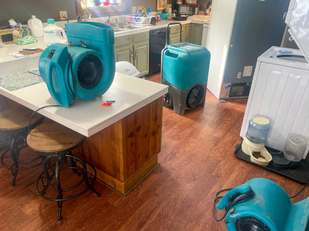 Best Carpet water damage restoration  in North Eastham, MA