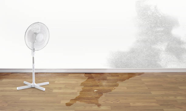 Water damage restoration experts in North Eastham, MA