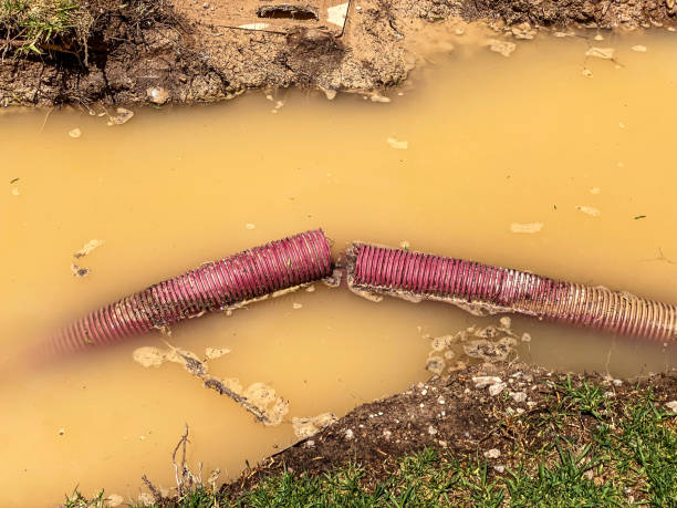 Best Water damage restoration process  in North Eastham, MA