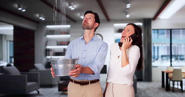  North Eastham, MA Water damage restoration Pros